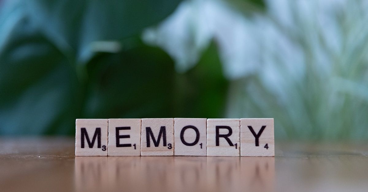 Memory and learning concept — wooden letter tiles spelling Memory on a natural surface