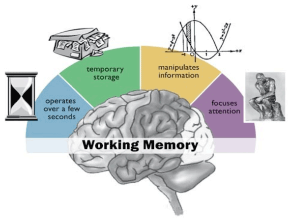 Memory Supplements Prevent Memory Loss